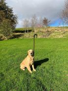 dc908b98758aa87bc36683175f30abd1_138x184_fill