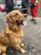 dd04678964bdbb2ccefc6fe498f6d918_138x184_fill