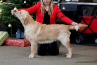 dd50c226cb0ccaa03a77053b21a0d275_195