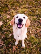 dd710a6a6a9f847ff8fbe4eafc6df5bd_138x184_fill