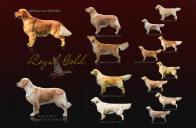 ddc0a8b90d712b9bfc3857c6d0f44f22_196