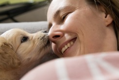 ddcca3be2aa6e209db23ac3187998c6d_245