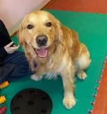 de13022ba03a6cb86001d80b3b6d475b_154x164