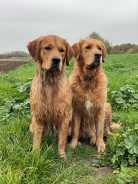 de2fc0168db57dcb4731099201a0b5fe_138x184_fill