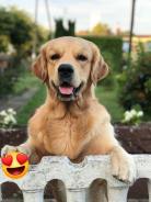 dea671161d387636788a187bae8e5cac_138x184_fill