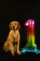 def63566b39e08b92c06bb9ef61994cf_130x195