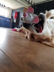 df2281cf23e4f2f5316083f0875ec149_174x232_fill