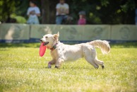 df2bb3ce1324353058a70c139fccccba_194