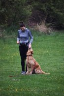 dfa650659bb6d130ebb035b38a3a19cb_130x194