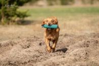 dff6b9b2674703ca0d3155b52d53bd19_195x130_fill