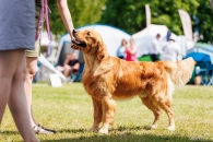 e06d58a3ce152579bdedb91a45d7dd81_195