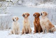 e082b0f69a5a7c8c14c8f0dffede66ea_194