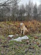 e168bb06693d635308766d77334445af_138x184_fill