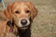 e196784077f35e6892710fc2d983ca18_196