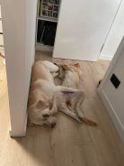 e1ee0df425e58e6a26a2638159a5b0ea_138x184_fill