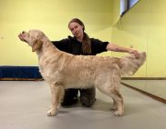 e2454241b127198d5a87d7cad31149d4_182