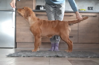 e24dccf252d0203c4c19cdae6160fd5e_197