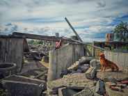 e2511078e8f1311cfddf0b958ab9a59a_184x138_fill