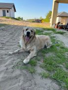 e25a48e25eab7a70c8028be75c7b8290_138x184_fill