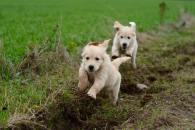 e2977dddbc3dded734f1e5ea2f364b83_195