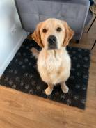 e32884765b0d2a5e6faa7404892706d5_138x184_fill