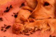 e32c592c16ca1187580a50b2db6a1ece_194