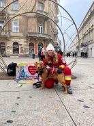 e34bc33f445f88eafd3864a9a703b252_138x184_fill