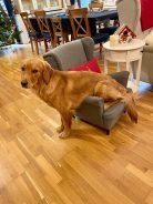 e3531aa9bf5baaa0a58e2e9c0c475df3_138x184_fill