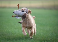 e391d69b0d18fb20beaf6a73c6b3f9b1_189