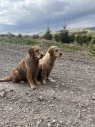 e3d6453043bd48bc55709e4850e980b0_138x184_fill