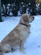 e3e1b793c66115e11b1543713d3725c5_138x184_fill