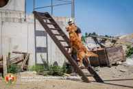 e40f1f28b0c5becaa4d07cfd9237f0bc_194