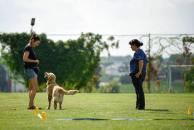 e420fc3654ecc935feb24ed72e87e569_194