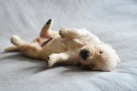 e4488aa9f054a050c04f42ea5d25f223_195x130_fill