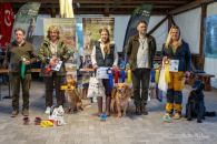 e46812fad13a6729d504ede6080ee419_195x130_fill