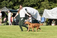 e4756b2db621bed9c1df98612632f848_195