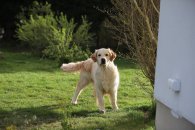 e4a7fc9378fc1ac95e2713ba6854e301_195