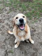 e4d8493d81caf32e870443917fcadf61_138x184_fill