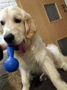 e550b4cbfe206432fc898d5ecff9cf24_138x184_fill