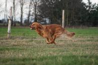 e57d54186efe035ed7347b924a3fc274_195x130_fill