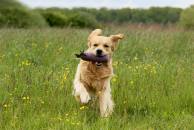 e588796c99dea4c0a5e8b8627445aef7_194