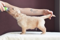 e5a3208044eb57b03c6baa62793c941e_195