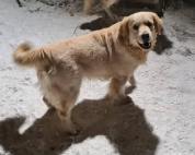 e5c7db7264fcbbbf906fad9e596a62f6_178