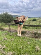 e5e35225938c4b08a277a8e512fdfb98_138x184_fill