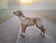 e635f49196230eea2e961625e9eb065e_182