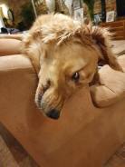 e6da9ec51c84b31f3ccd099499a2c7b2_138x184_fill