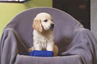 e6f4c0fd08a0dc15c14ad30542a1f4b6_195