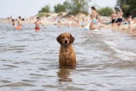 e7914e6c30a631cd357900072cbf548f_195