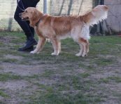 e7c61e362548848d508d3129604b8213_173