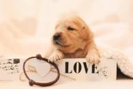 e7f4ceecab6c9d3c5cc621fd5b46b48e_195x130_fill